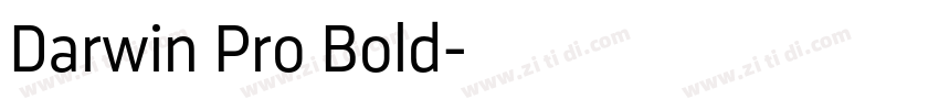 Darwin Pro Bold字体转换